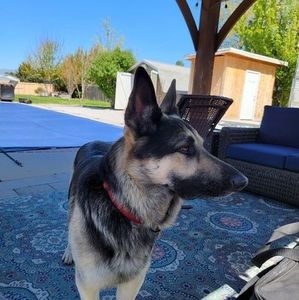 Meet your Posher, Donna